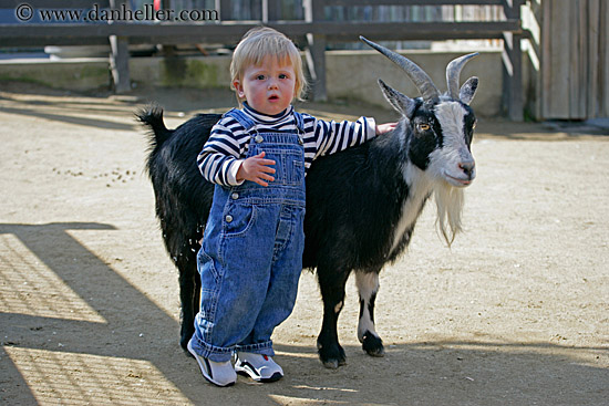 jack-n-goat-1.jpg