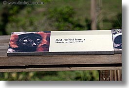 animals, california, horizontal, lemurs, red, ruffed, san francisco, signs, west coast, western usa, zoo, photograph