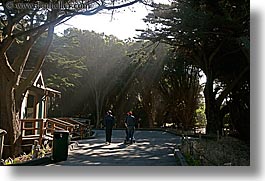 california, horizontal, lightrays, san francisco, west coast, western usa, zoo, photograph