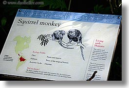 animals, california, horizontal, monkeys, primates, san francisco, signs, squirrel, west coast, western usa, zoo, photograph