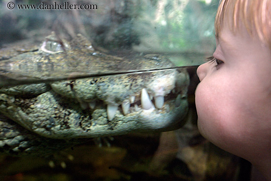 caiman-n-baby-1.jpg