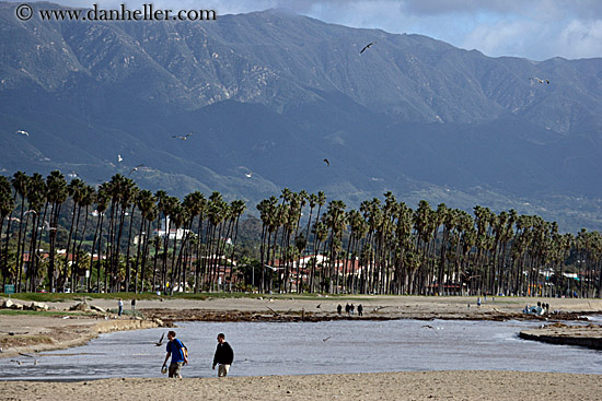 beach-palm_trees-pedestrians-mtns-2.jpg