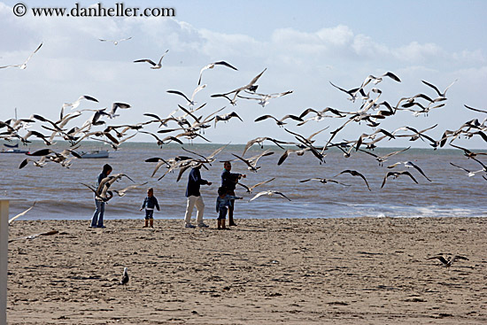 birds-n-family.jpg