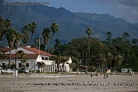 bldg-palm_trees-mtns-beach-birds.jpg