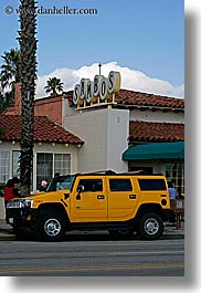 california, colors, hummer, nature, palm trees, plants, sambos, santa barbara, signs, trees, vertical, west coast, western usa, yellow, photograph