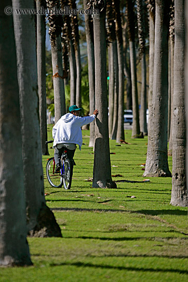 guy-on-bike-among-palms.jpg