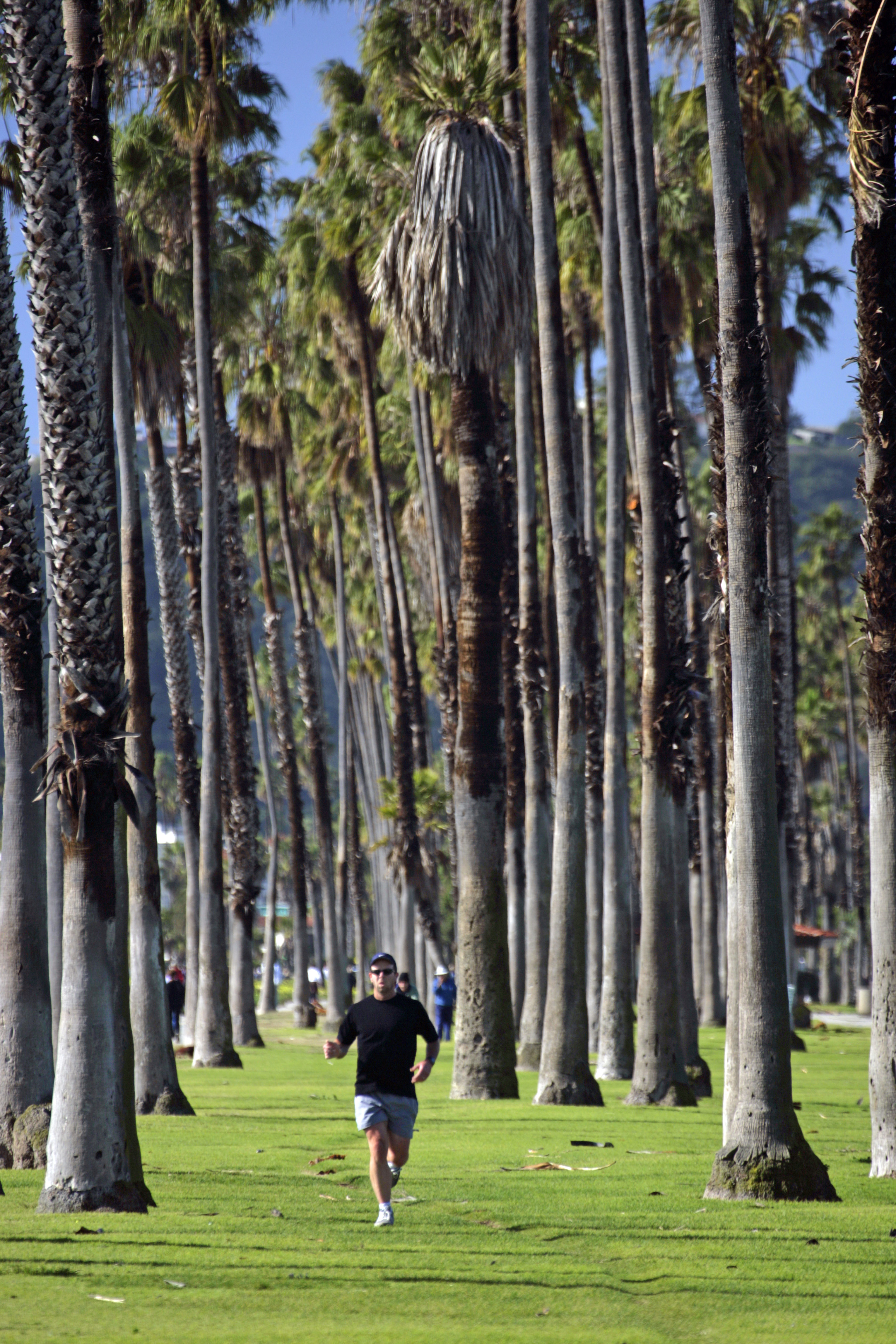 man-jogging-in-palms.jpg