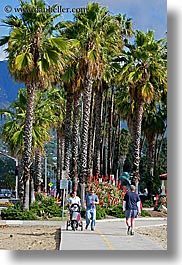 california, nature, palm trees, paths, pedestrians, people, plants, santa barbara, trees, vertical, west coast, western usa, photograph