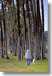 california, clothes, dogs, hats, nature, palm trees, palms, pedestrians, people, plants, santa barbara, straw hat, trees, vertical, walking, west coast, western usa, womens, photograph