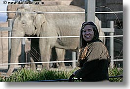 california, elephants, horizontal, jills, santa barbara, west coast, western usa, zoo, photograph