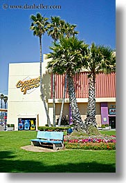 benches, boardwalk, california, coconuts, furniture, grove, nature, palm trees, plants, santa cruz, trees, vertical, west coast, western usa, photograph