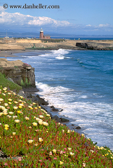 ice_plants-shoreline-n-lighthouse.jpg