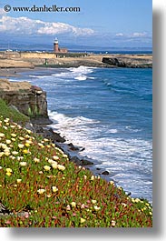 bricks, buildings, california, coastline, flowers, ice plants, lighthouses, materials, nature, santa cruz, shoreline, structures, vertical, west coast, western usa, photograph