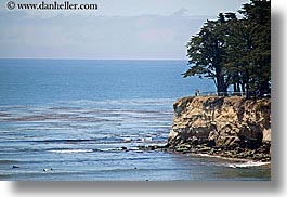 images/California/SantaCruz/Coastline/tree-cliff-1.jpg