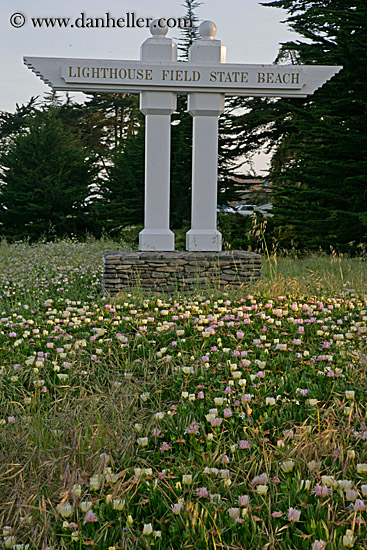 lighthouse-field-state-beach-sign-n-ice_plants-1.jpg