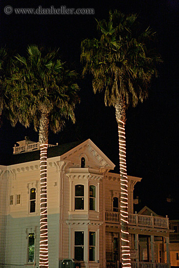 victorian-house-n-lighted-palm_trees.jpg