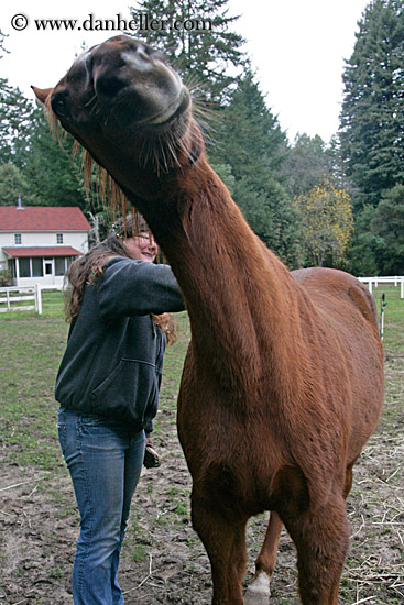 allie-n-horse-2.jpg