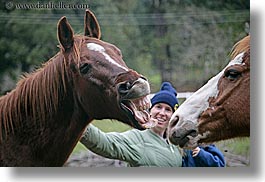 images/California/SantaCruz/People/AllieKeener/horse-laugh-3.jpg
