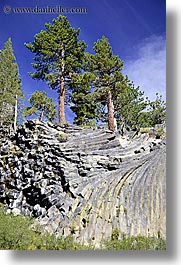 california, devils postpile, national monument, rocks, sierras, trees, vertical, west coast, western usa, photograph