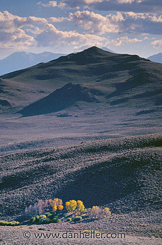 fall01.jpg