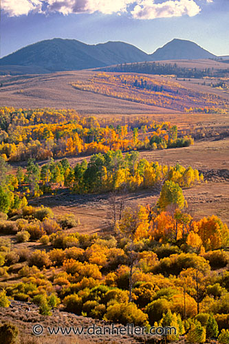 fall02.jpg