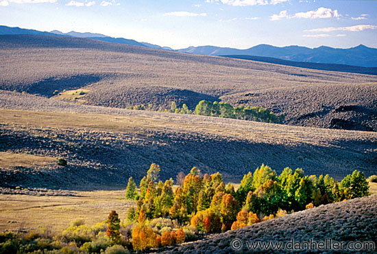 fall05.jpg