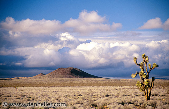 landscape1.jpg
