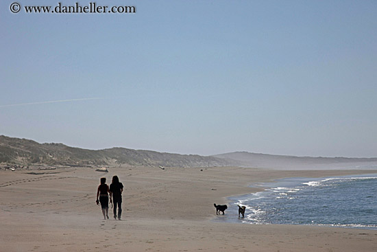 couple-walking-w-dogs-on-beach.jpg