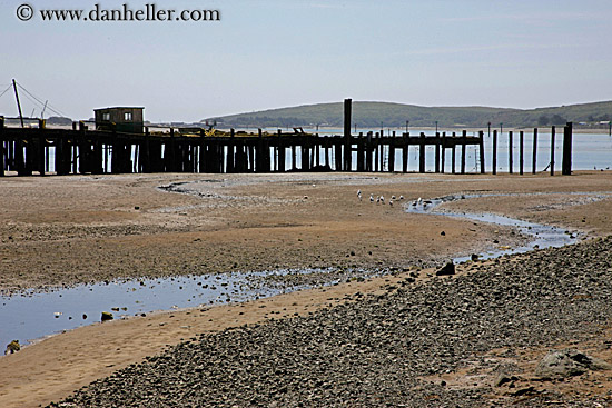 pier-n-low-tide-beach.jpg