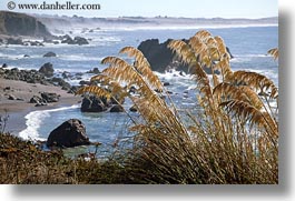images/California/Sonoma/BodegaBay/Coast/rocky-shore-3.jpg
