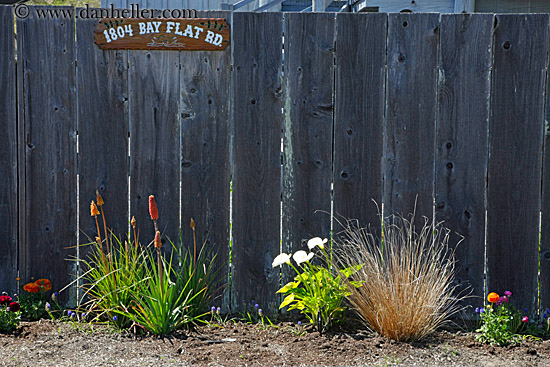 flowers-n-fence-2.jpg