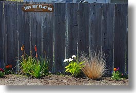 bodega bay, california, fences, flowers, horizontal, sonoma, west coast, western usa, photograph
