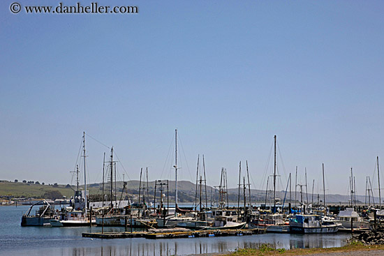 boats-in-harbor-1.jpg