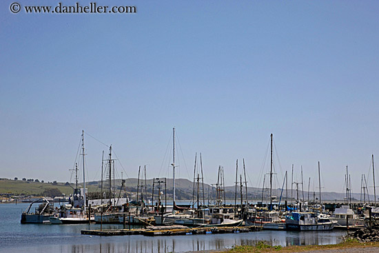 boats-in-harbor-1.jpg