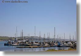 images/California/Sonoma/BodegaBay/Harbor/boats-in-harbor-1.jpg