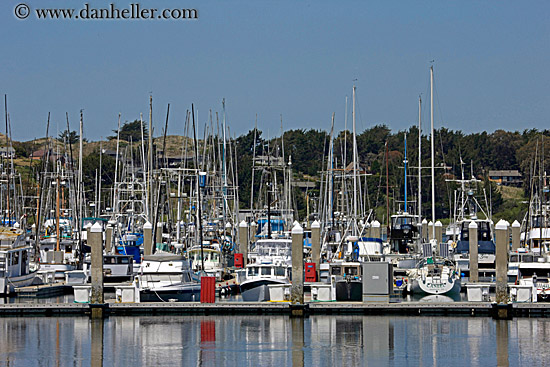 boats-in-harbor-2.jpg