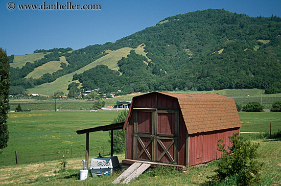 small-barn-n-green-hills.jpg