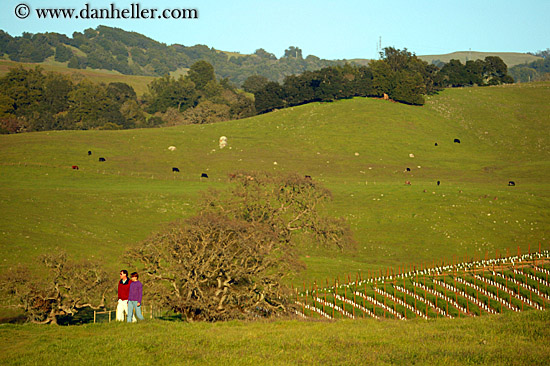 hikers-n-vineyards.jpg