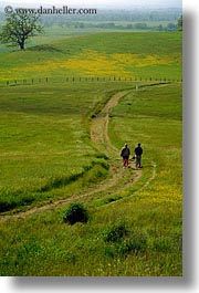 california, hiking, paths, scenics, sonoma, vertical, west coast, western usa, photograph