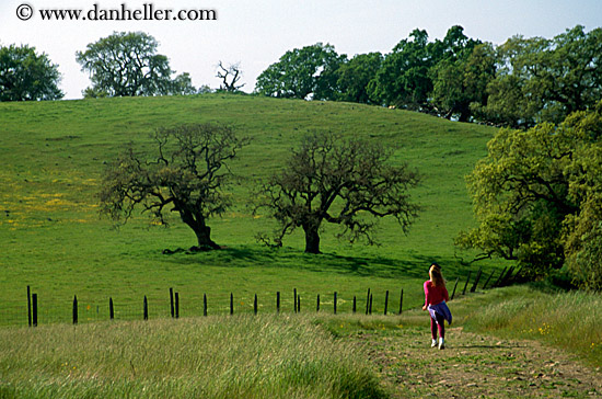 hiking-path-4.jpg