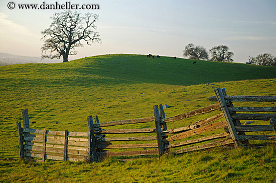 long-fence-n-green-fields-3.jpg