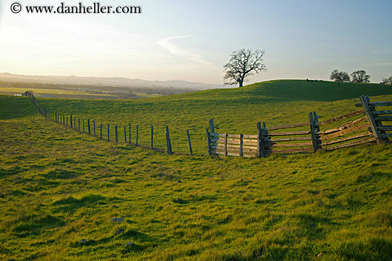 long-fence-n-green-fields-4.jpg