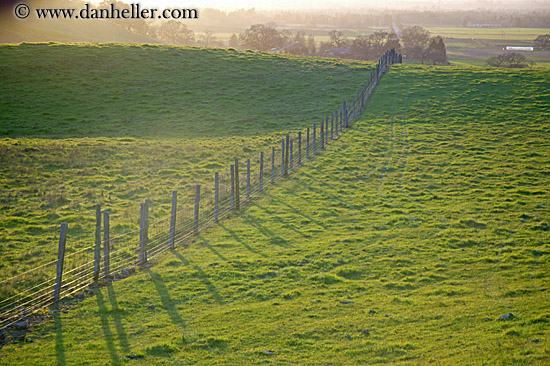 long-fence-n-green-fields-5.jpg