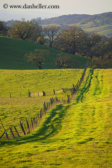 long-fence-n-green-fields-6.jpg