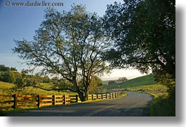 california, horizontal, roads, scenics, sonoma, trees, west coast, western usa, photograph