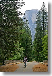 bicycles, bikes, california, jills, nature, paths, plants, transportation, trees, vertical, west coast, western usa, womens, yosemite, photograph