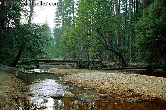 curved-tree-over-bridge-1.jpg