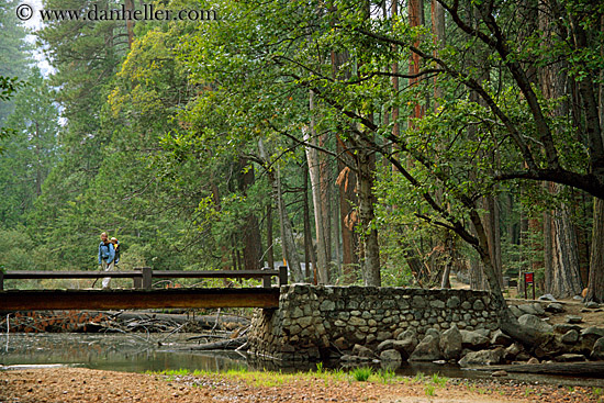 jnj-on-bridge-n-redwoods-1.jpg