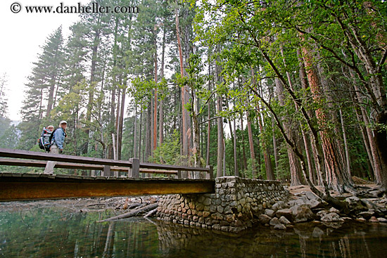 jnj-on-bridge-n-redwoods-7.jpg