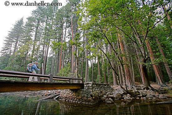 jnj-on-bridge-n-redwoods-8.jpg